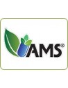 AMS