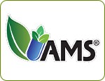 AMS